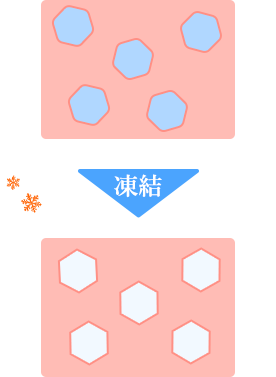 液冷式凍結(リキッドフリーザー)